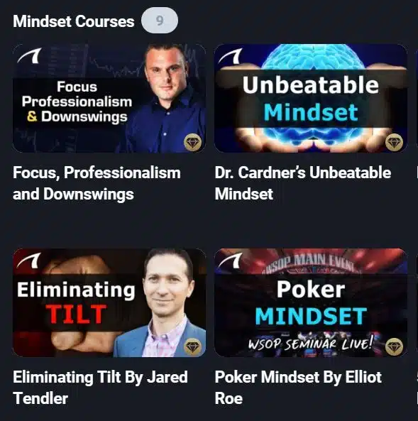 best mindset online poker training website
